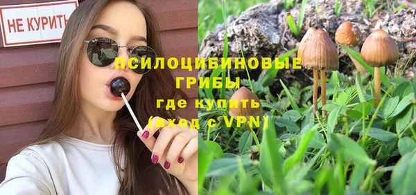 трава Балахна