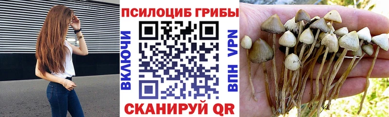 Псилоцибиновые грибы мухоморы  Туринск 